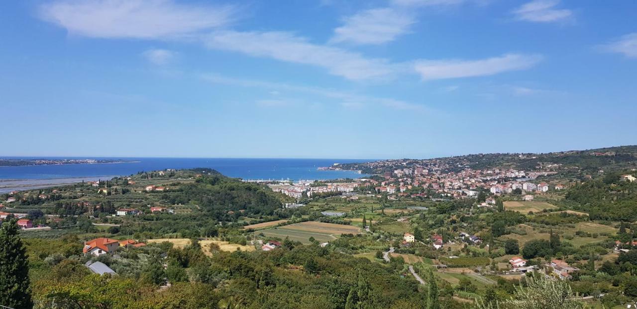Apartma Viktorija بورتوروز المظهر الخارجي الصورة